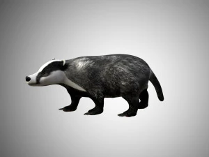 badger low poly rigged 3D Model