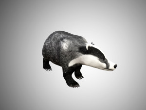 badger low poly rigged 3D Model