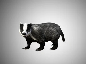 badger low poly rigged 3D Model