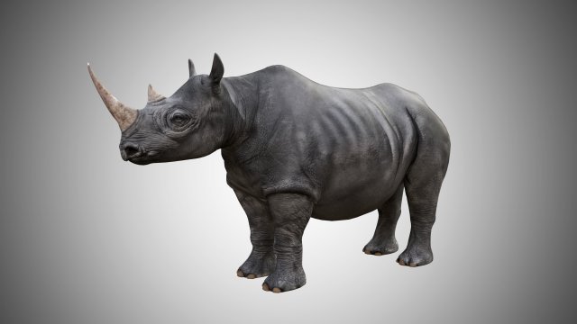 rhino rigged low poly 3D Model .c4d .max .obj .3ds .fbx .stl .blend