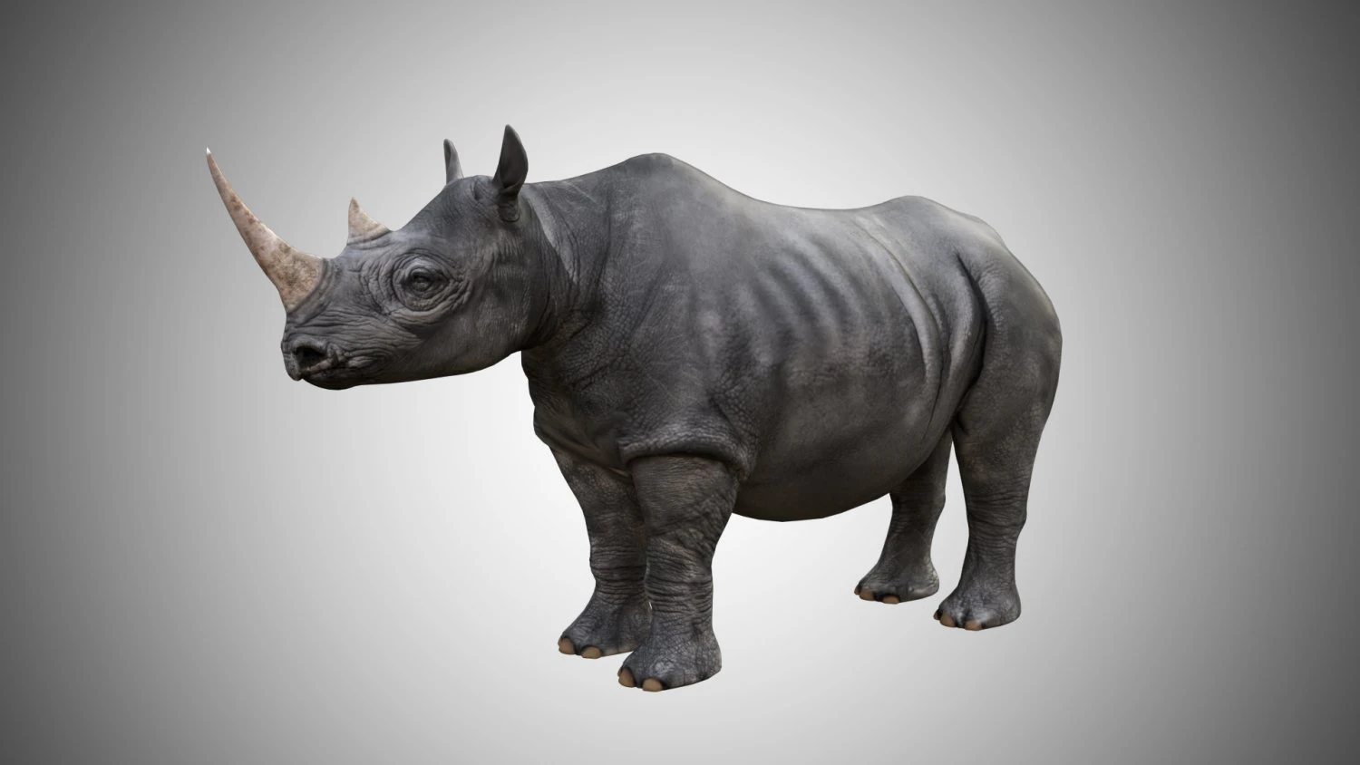 rhino rigged low poly 3D Model .c4d .max .obj .3ds .fbx .stl .blend