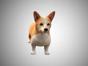 realistic high detailed low poly rigged corgi 3D Model