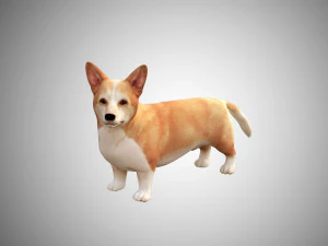 realistic high detailed low poly rigged corgi 3D Model