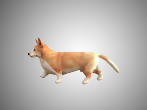 realistic high detailed low poly rigged corgi 3D 模型