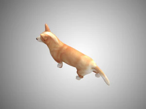realistic high detailed low poly rigged corgi 3D Model