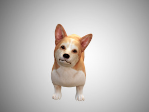 realistic high detailed low poly rigged corgi 3D 模型