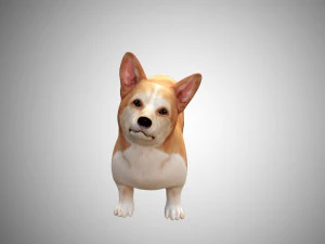 realistic high detailed low poly rigged corgi 3D Model