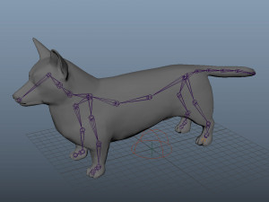 realistic high detailed low poly rigged corgi 3D 模型