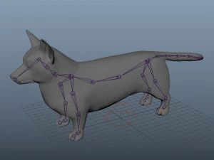 realistic high detailed low poly rigged corgi 3D Model