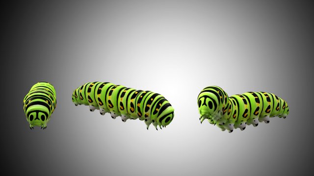 realistic high detailed low poly rigged caterpillar Modèle 3D .c4d .max .obj .3ds .fbx .stl .blend 