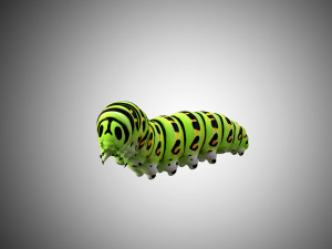 realistic high detailed low poly rigged caterpillar Modèle 3D