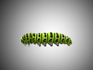 realistic high detailed low poly rigged caterpillar Modèle 3D