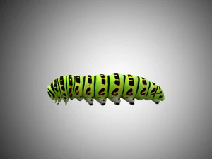 realistic high detailed low poly rigged caterpillar 3D Model