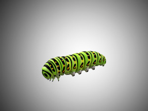 realistic high detailed low poly rigged caterpillar Modèle 3D