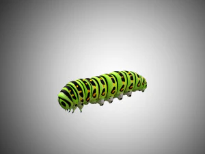 realistic high detailed low poly rigged caterpillar 3D Model