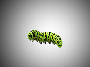 realistic high detailed low poly rigged caterpillar Modèle 3D