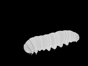 realistic high detailed low poly rigged caterpillar Modèle 3D
