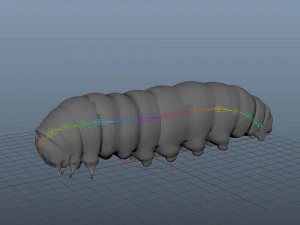 realistic high detailed low poly rigged caterpillar 3D Model