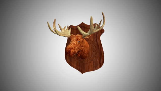 realistic high detailed low poly moose head trophy 3D Model .c4d .max .obj .3ds .fbx .stl .blend 