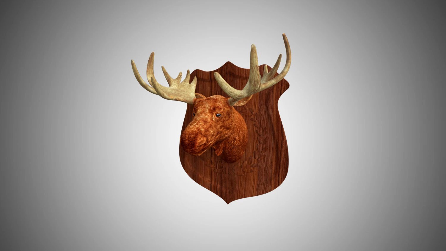 realistic high detailed low poly moose head trophy 3D Model .c4d .max .obj .3ds .fbx .stl .blend 