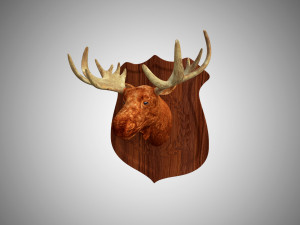 realistic high detailed low poly moose head trophy 3Dモデル