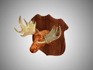 realistic high detailed low poly moose head trophy 3D Model