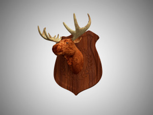 realistic high detailed low poly moose head trophy 3D Model
