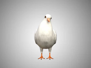 rigged low poly dove 3D Model