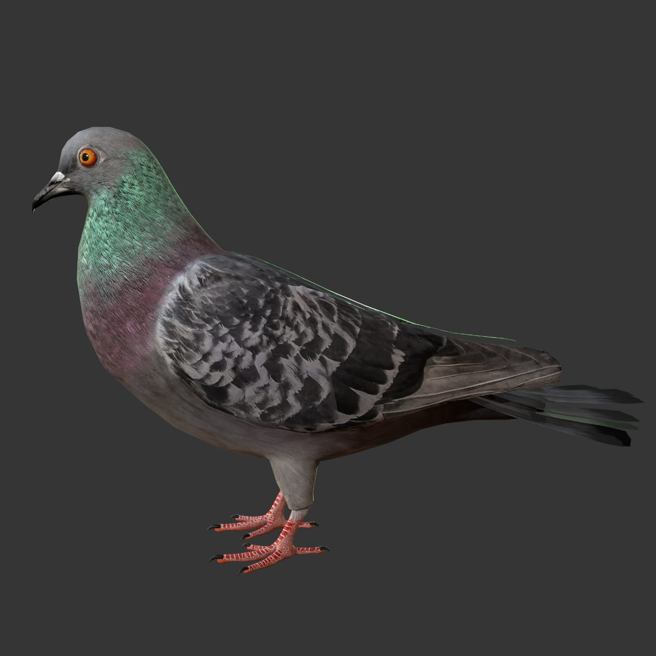 Game pigeon rigged games
