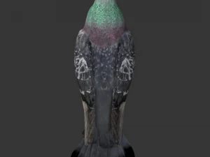 rigged low poly pigeon 3D Model