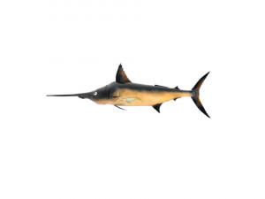 swordfish sword fish 3D-Modell