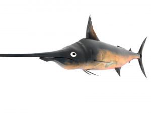 swordfish sword fish 3D-Modell