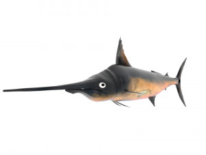 swordfish sword fish 3D-Modell