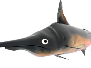 Schwertfisch Schwertfisch 3D Modell