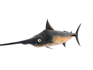 swordfish sword fish 3D-Modell