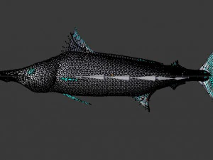 Schwertfisch Schwertfisch 3D Modell