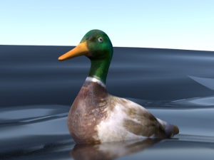 mallard rigged low poly 3D Model