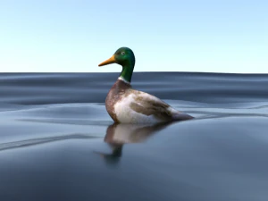 mallard rigged low poly 3D Model