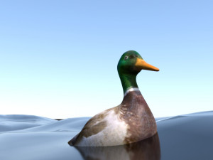 mallard rigged low poly 3D Model
