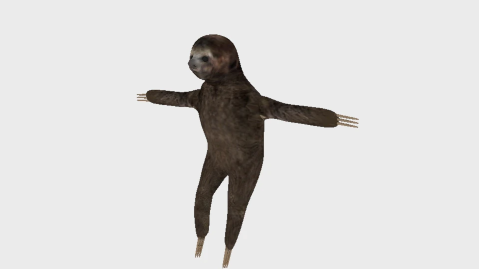 sloth rigged low poly 3D Model .c4d .max .obj .3ds .fbx .stl .blend 