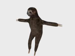sloth rigged low poly Modèle 3D