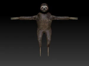 sloth rigged low poly 3D Model