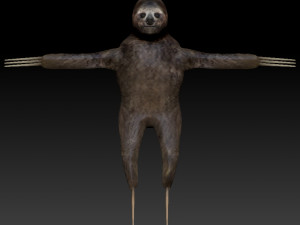 sloth rigged low poly 3Dモデル