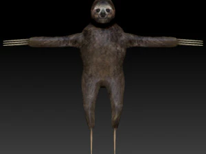 sloth rigged low poly 3D Model