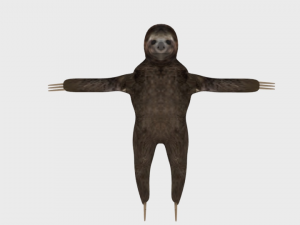 sloth rigged low poly 3Dモデル