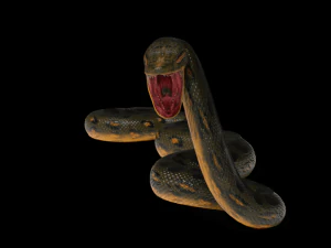 Anaconda rigged low poly 3D Model