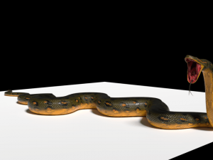 Anaconda rigged low poly Modèle 3D