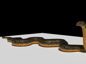 Anaconda rigged low poly 3D Model
