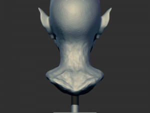 Head sculpture vol 01 3Dプリントモデル