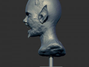 Head sculpture vol 01 3Dプリントモデル